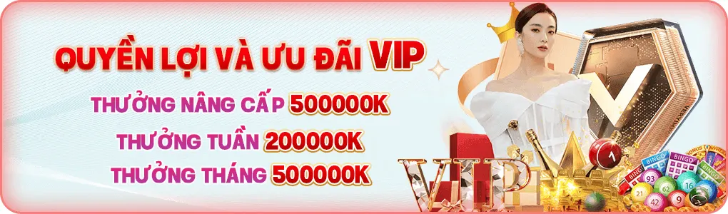 quyền lợi và ưu đãi vip tại 888to55 com